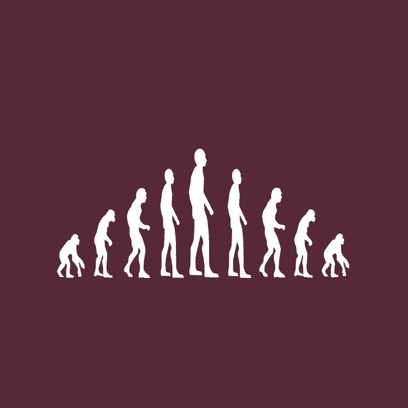 Évolution