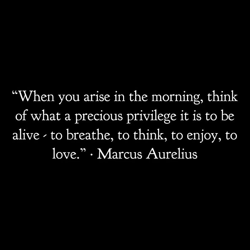 When you get up in the morning Marcus Aurelius