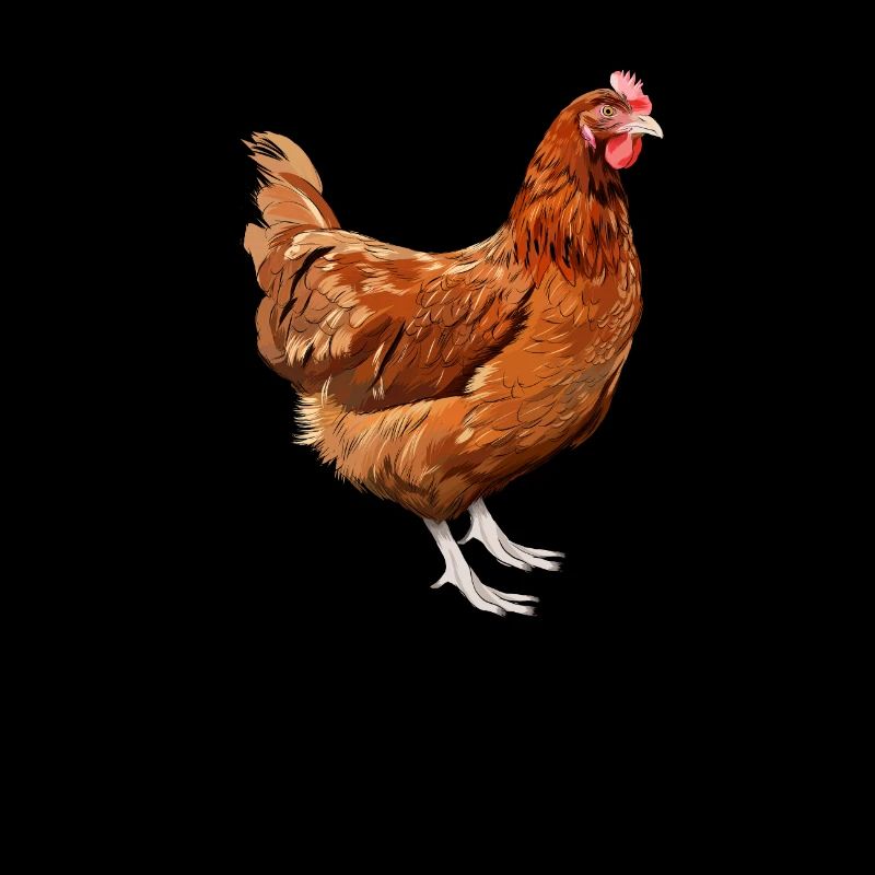 Backyard Chicken Farmer Animal Farming Farm Drôle