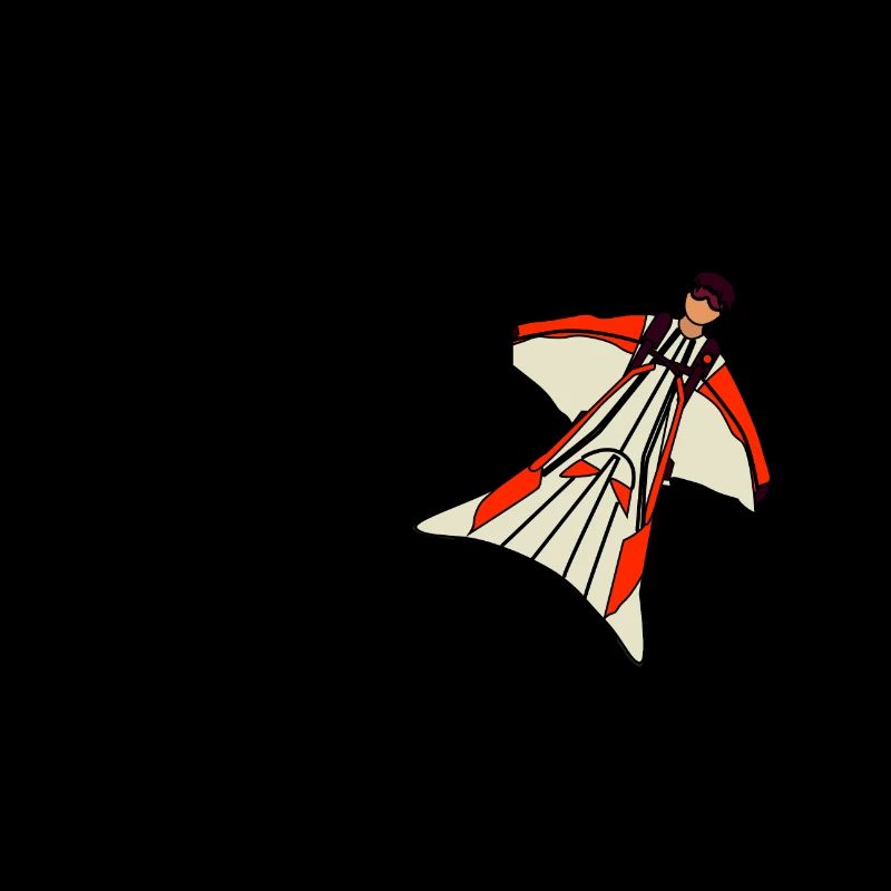 Wingsuit volant Base Jumping Parachutisme Wingsuit
