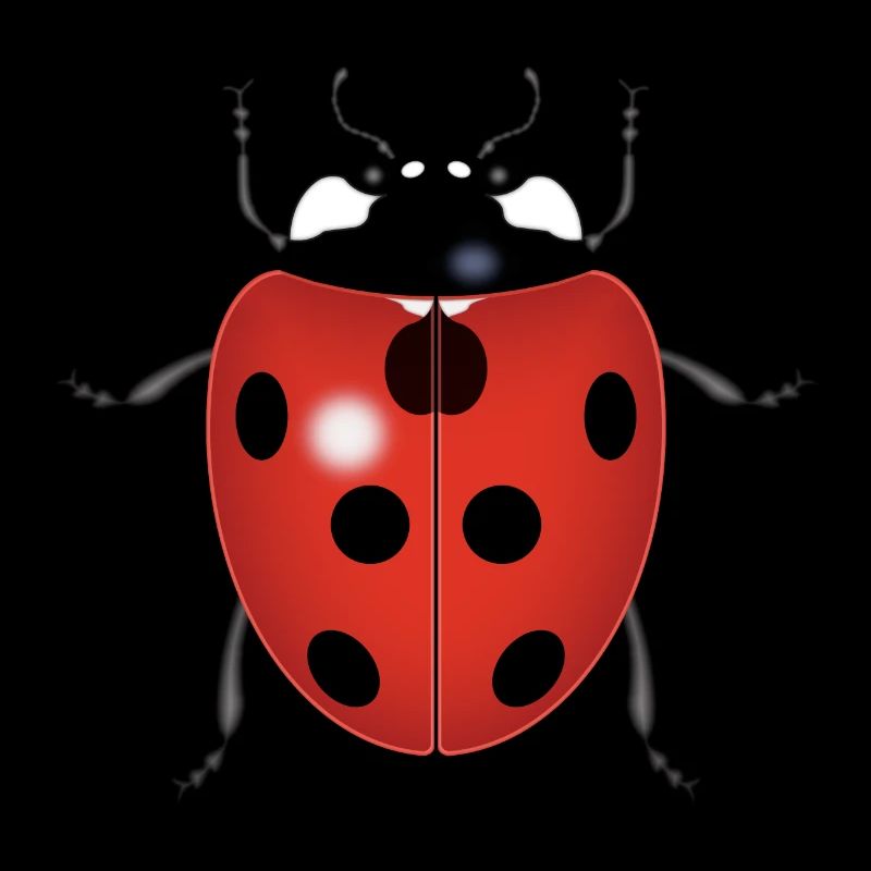 LADYBUG