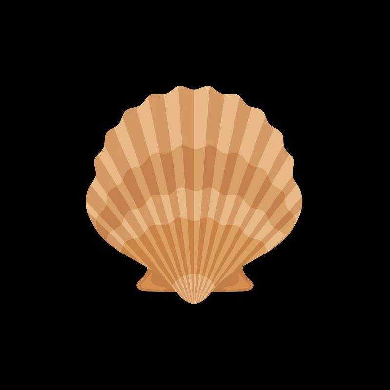 Muschelschalen Sammler Beachcomber Beach