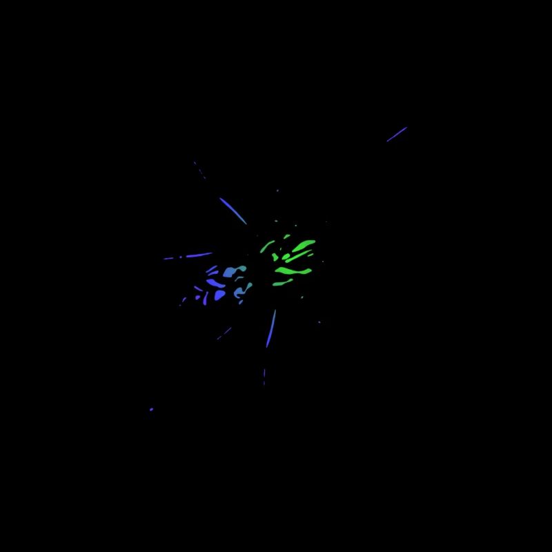 Spinne