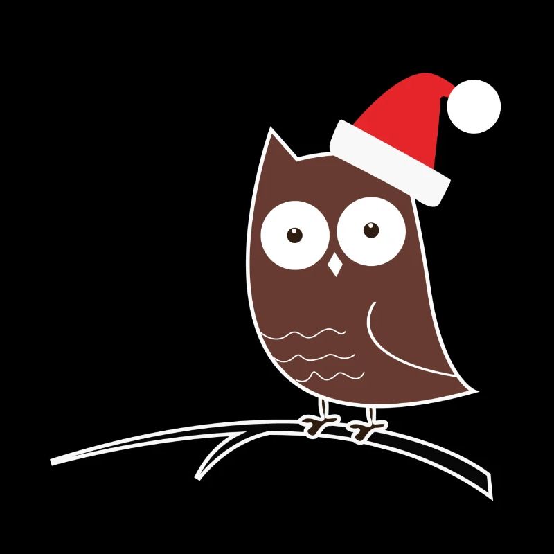 Le hibou de Noël ! Idée de cadeau