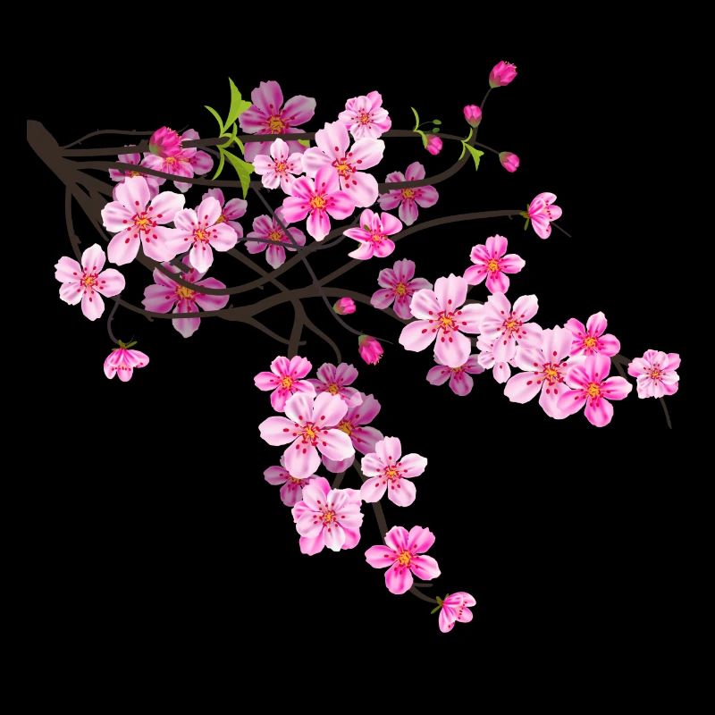 Fleur de Sakura