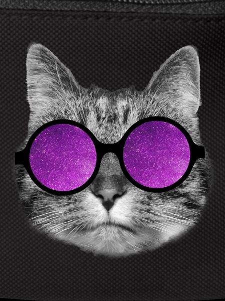 Chat de l’espace