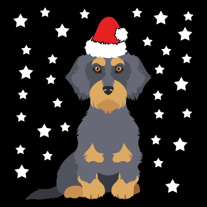 Dackel mit Nikolausmütze als Weihnachtsmann