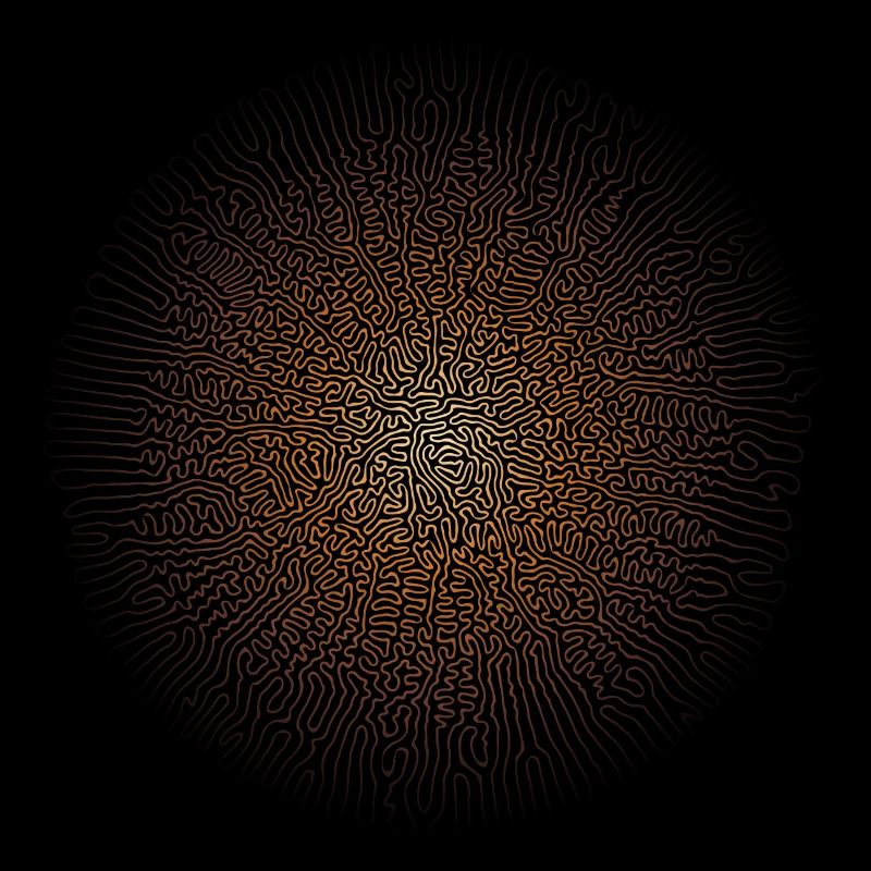 Mycélium de champignon (édition psychédélique)