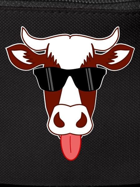Cow with sunglasses