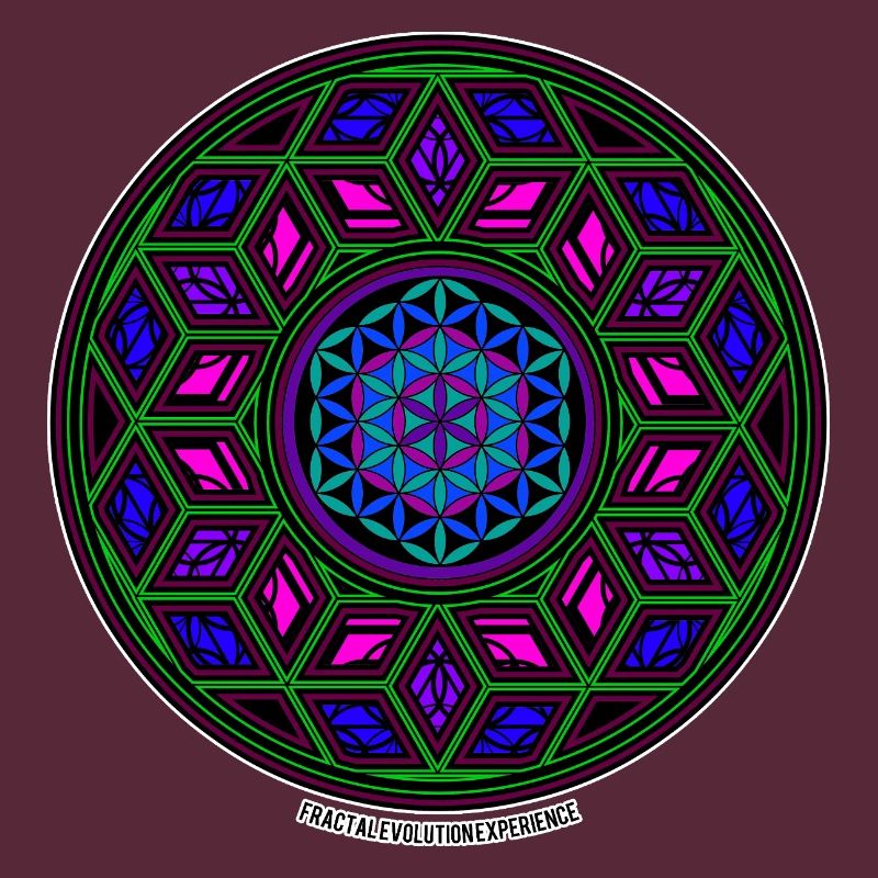 Fractal Evolution Experience Kaleidoscope Mandala