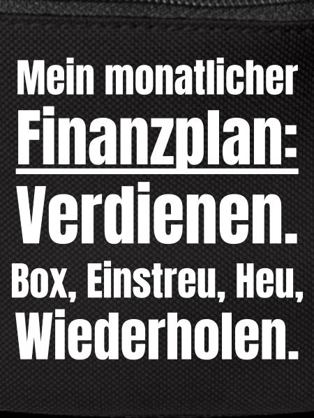 Finanzplan als Pferdebesitzerin