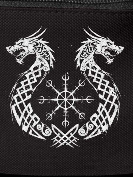 Dragon Vegvisir