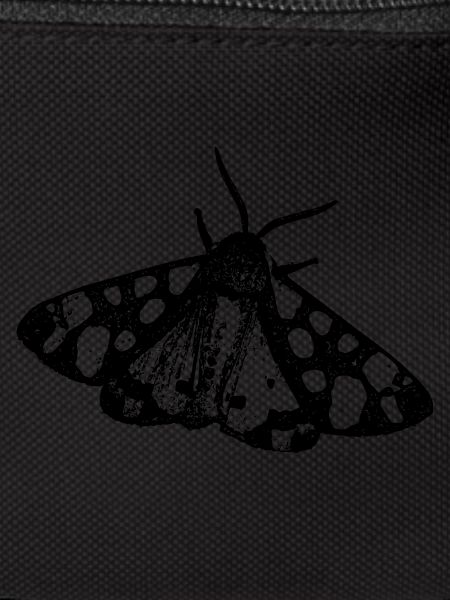 Moth Butterfly Insect