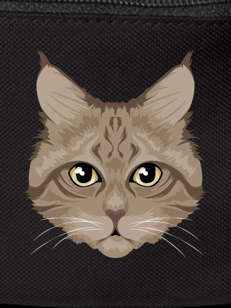 Chat / chat brun
