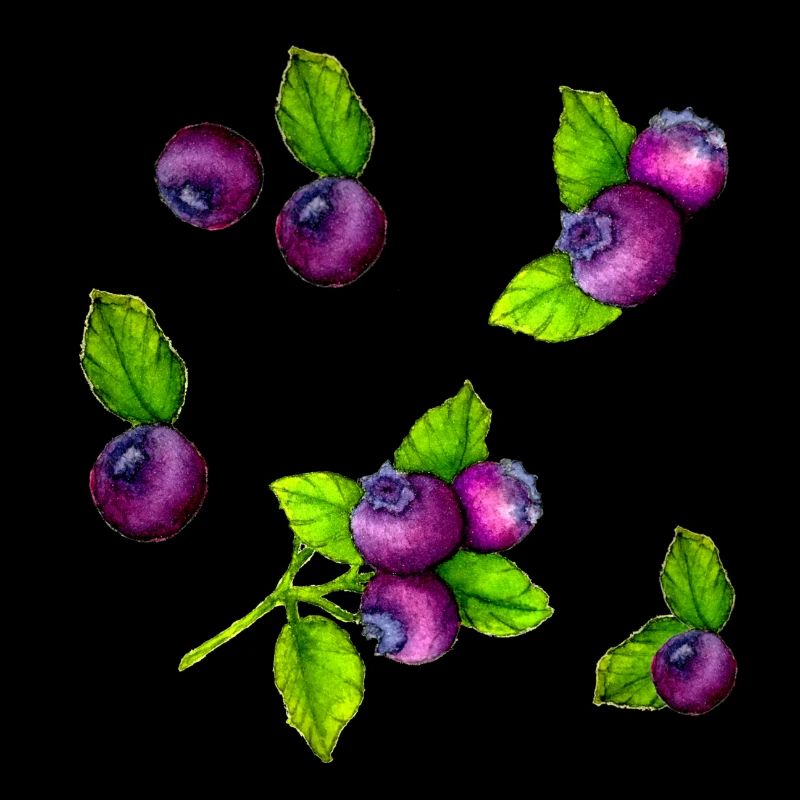 Watercolour Blue Berry Botanical Fruit Pattern