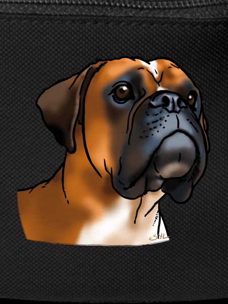 Boxer dog head