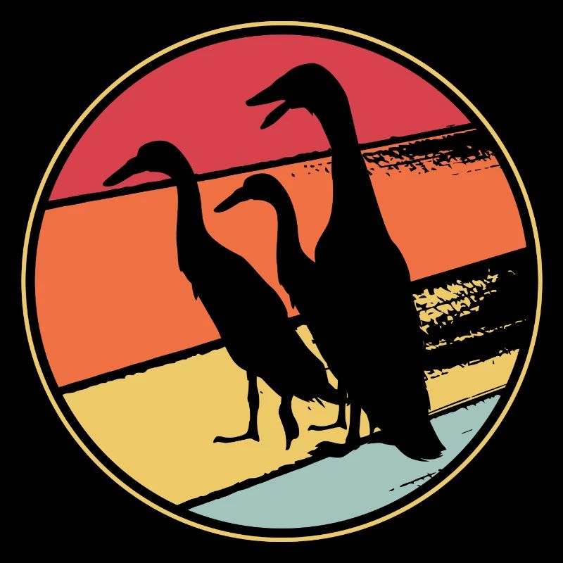 Running duck duck breeding duck breeder duck duck breeder duck