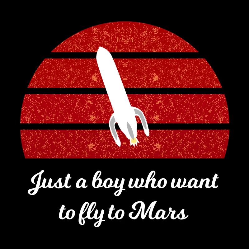 Le vol dans l’espace