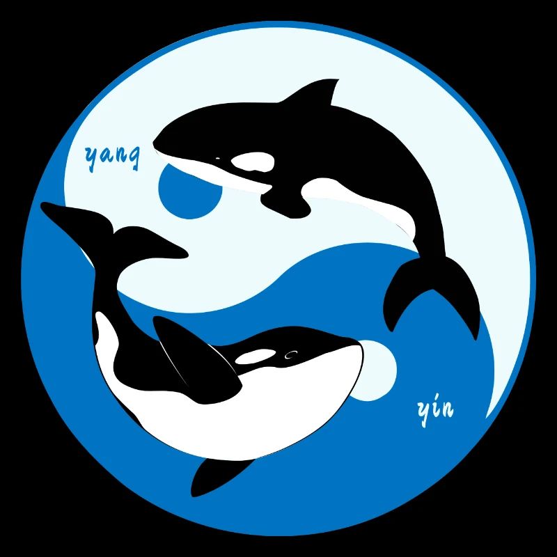 Orca Yin Yang - Killerwal Tierschutz