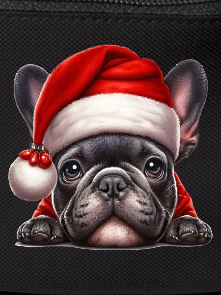 Mignon bouledogue français présente