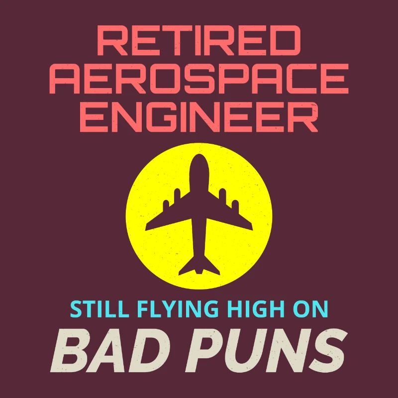 Retired Aerospace Engineer Flight Mechanics Plane