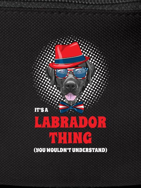 Hipster Labrador