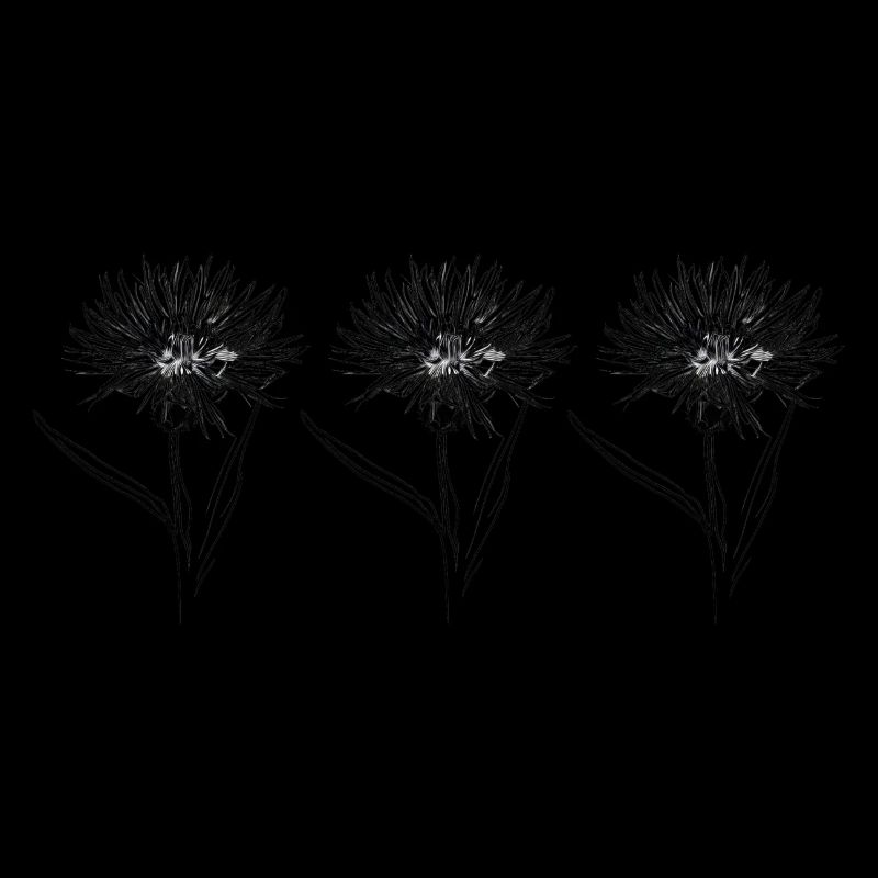 Schlichte Moonblume