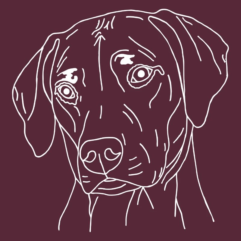 Rhodesian Ridgeback