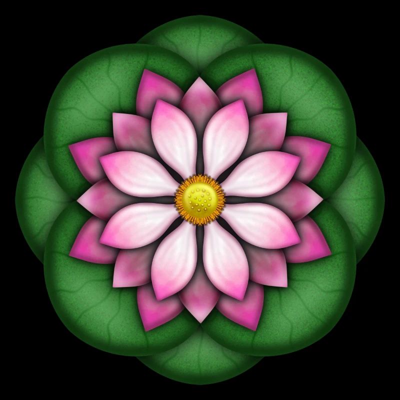 Lotusblume