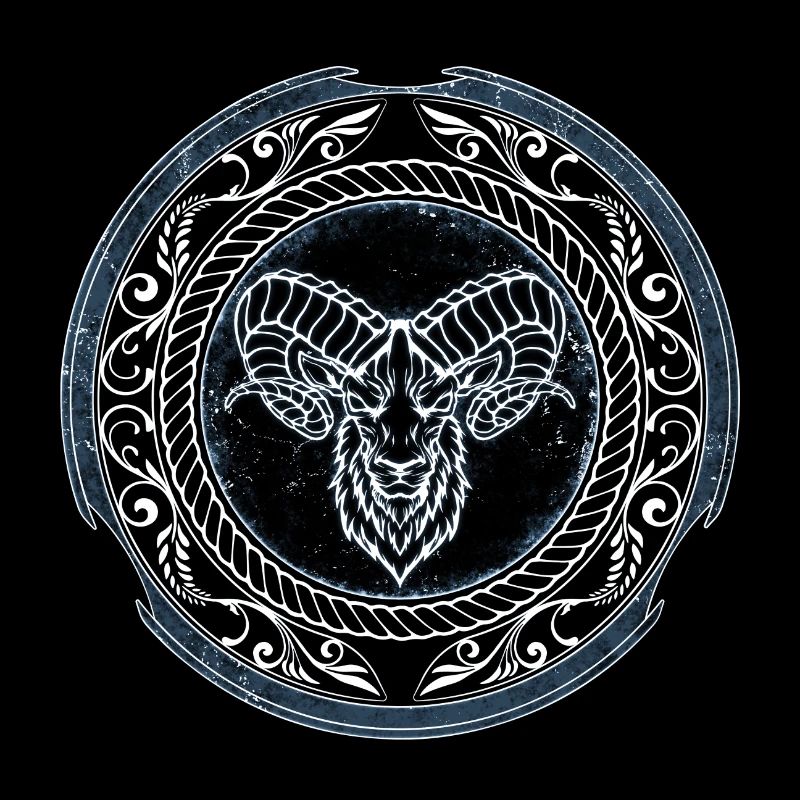 Viking Aries Aries