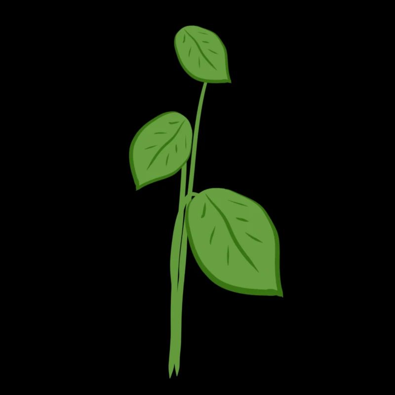 Feuilles Symbole de la nature végétale