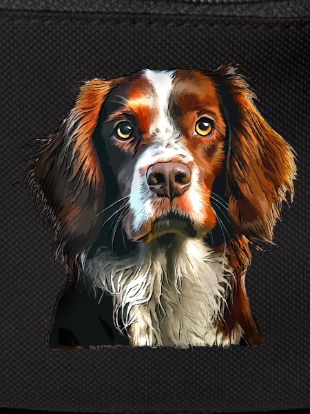 Brittany Spaniel