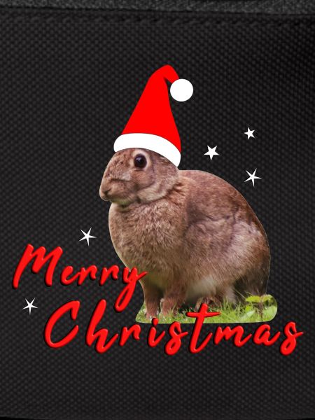 Joyeux Noël Lapin