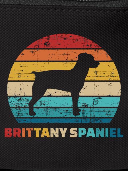 Brittany Spaniel