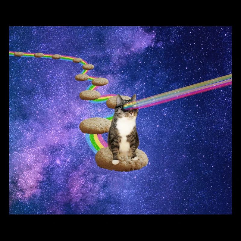 Mignon chat tigré dans l’espace
