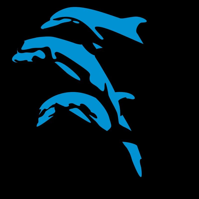 Delfin, Delfine - Dolphin