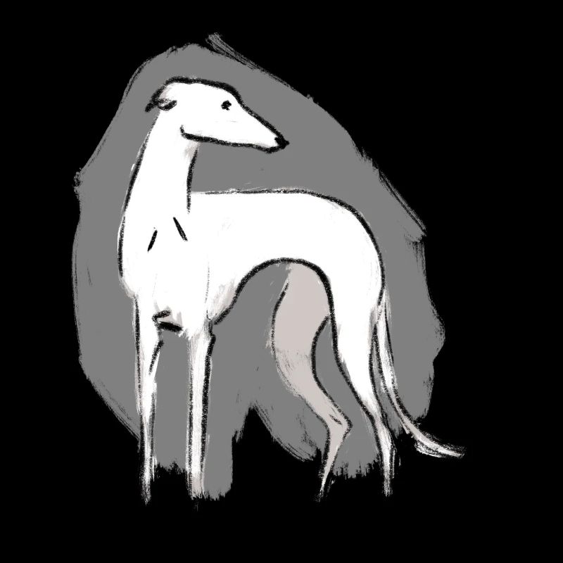 Lévrier blanc