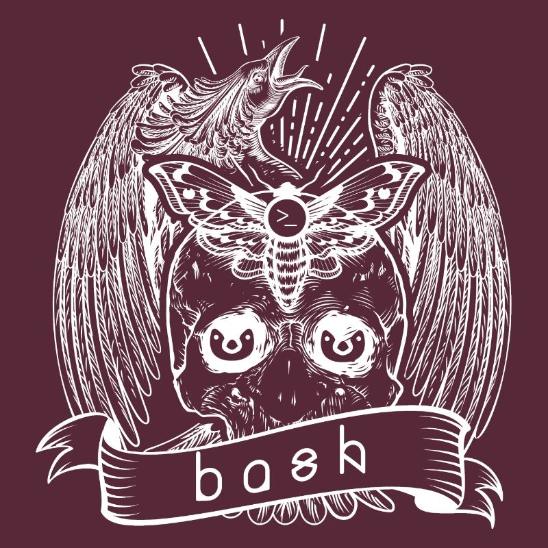 bash shell linux