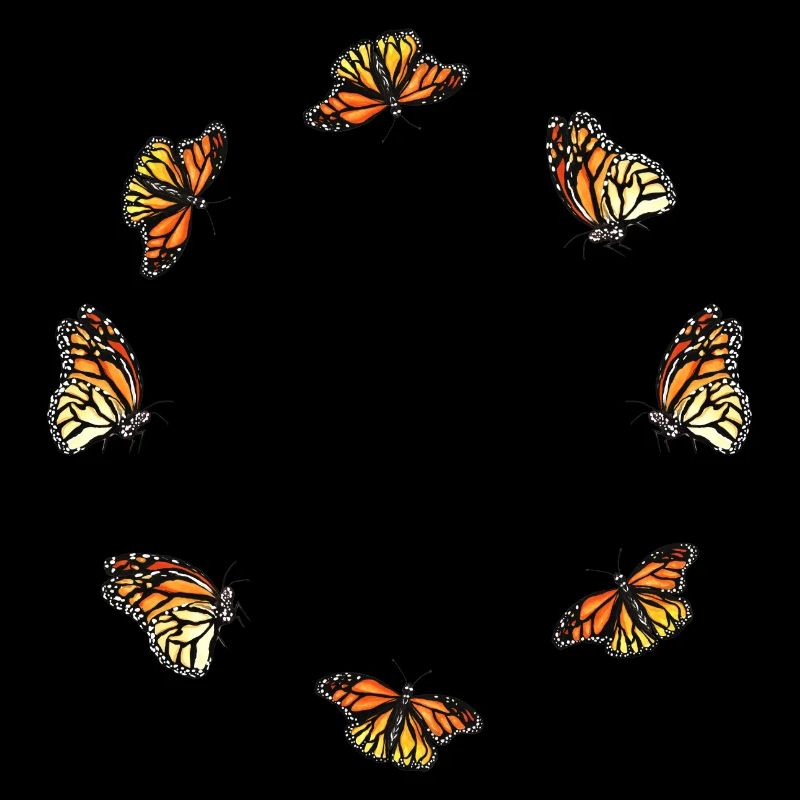 papillon