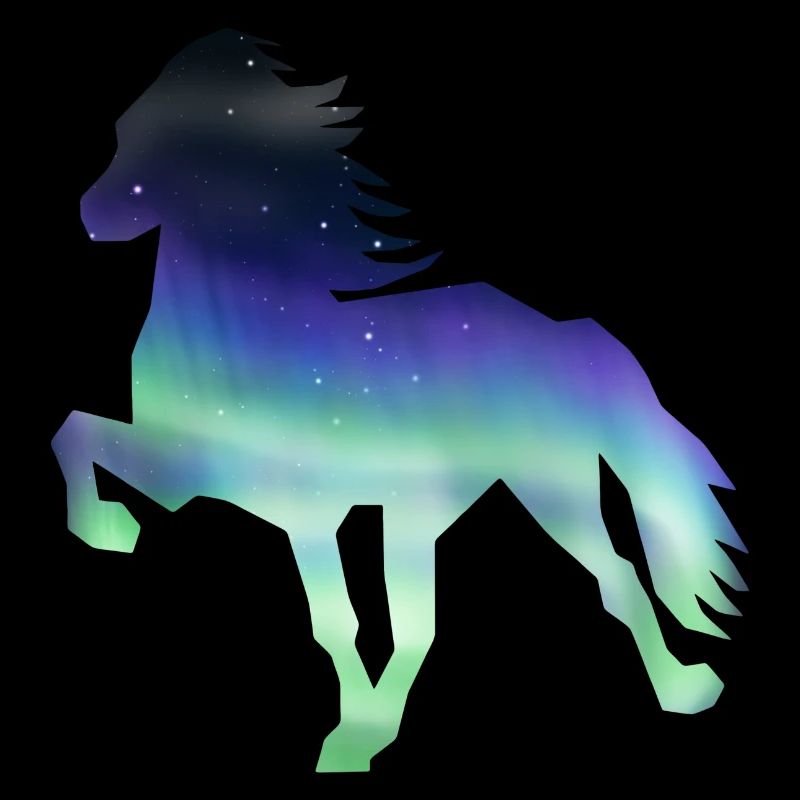 Cheval d’Islande Aurora borealis1