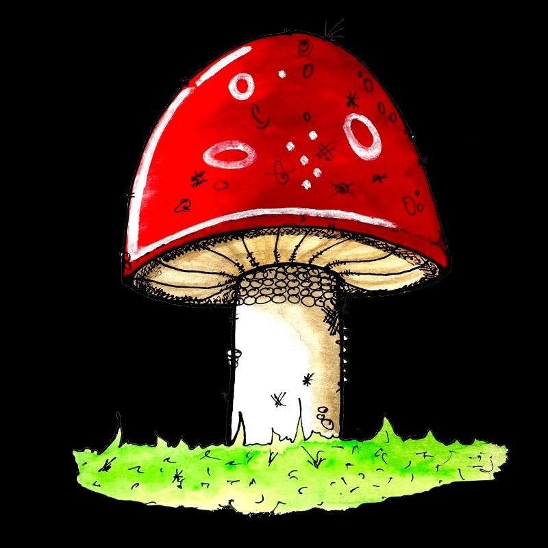 Mushroom - toadstool lucky guy lucky charm