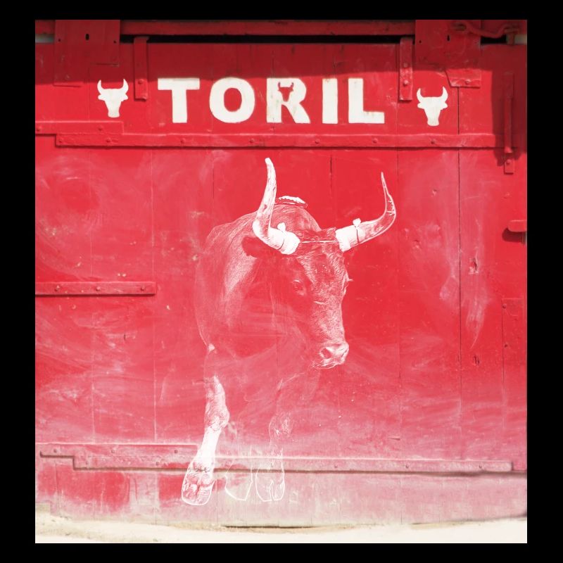 Taureau devant le Toril Camargue Modifier