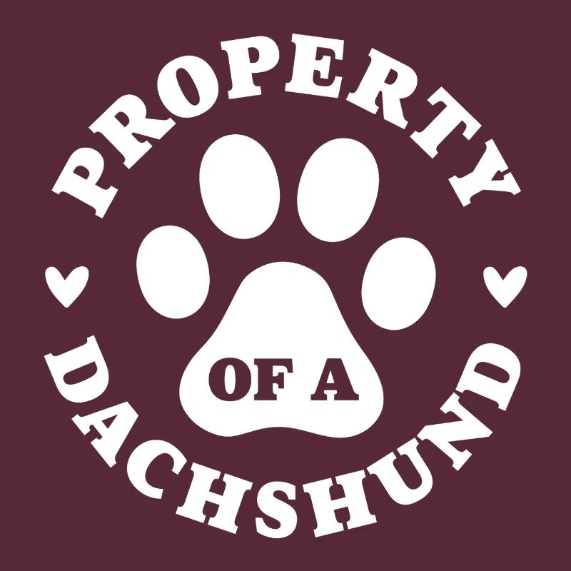 Eigentum eines Dackels