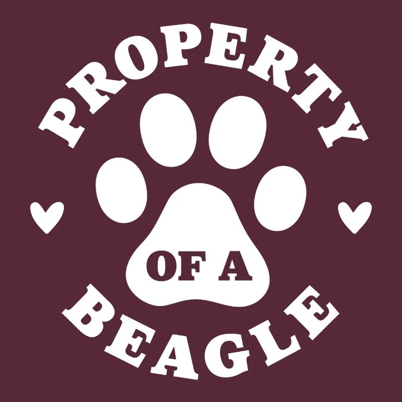 Eigentum eines Beagle