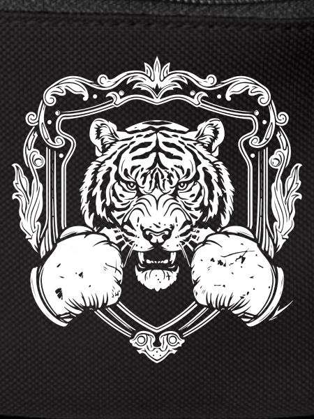 Tiger Boxing MMA