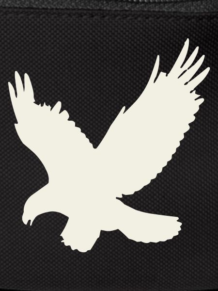 Eagle silhouette in flight