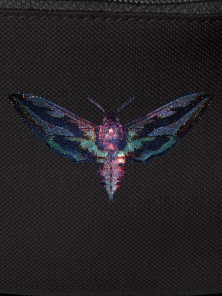 Papillon
