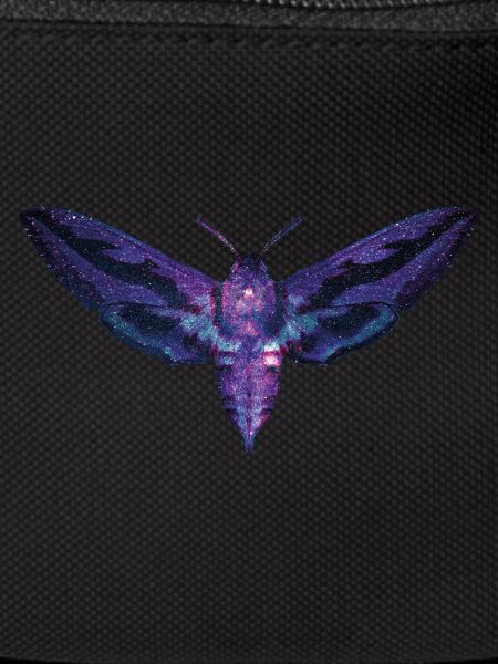 Papillon