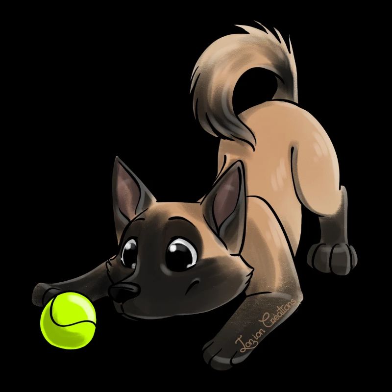 Le plus mignon Malinois
