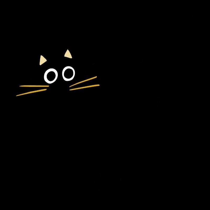 Chat noir effrayé